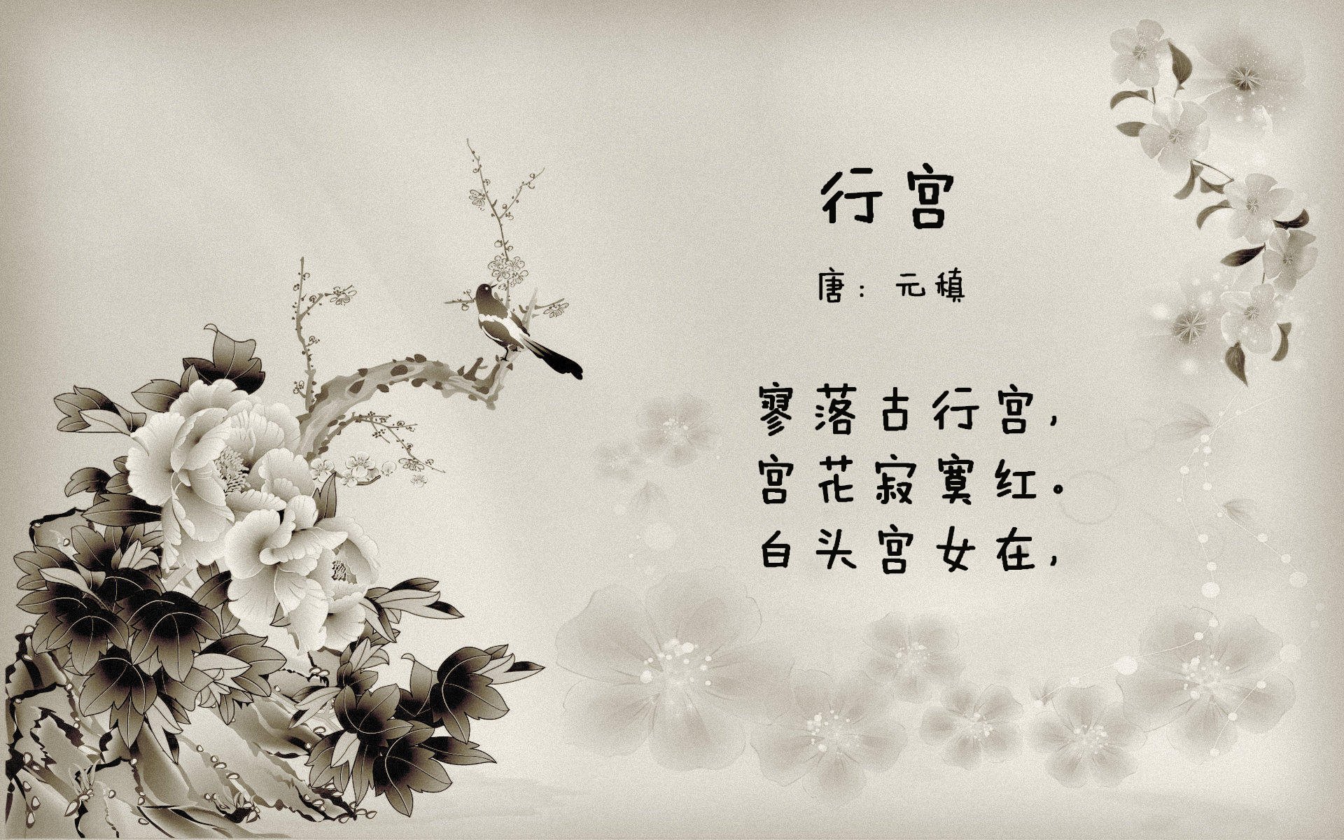全国青少年“篮球+文化”创新交流会在南京推介，促进行业合作发展