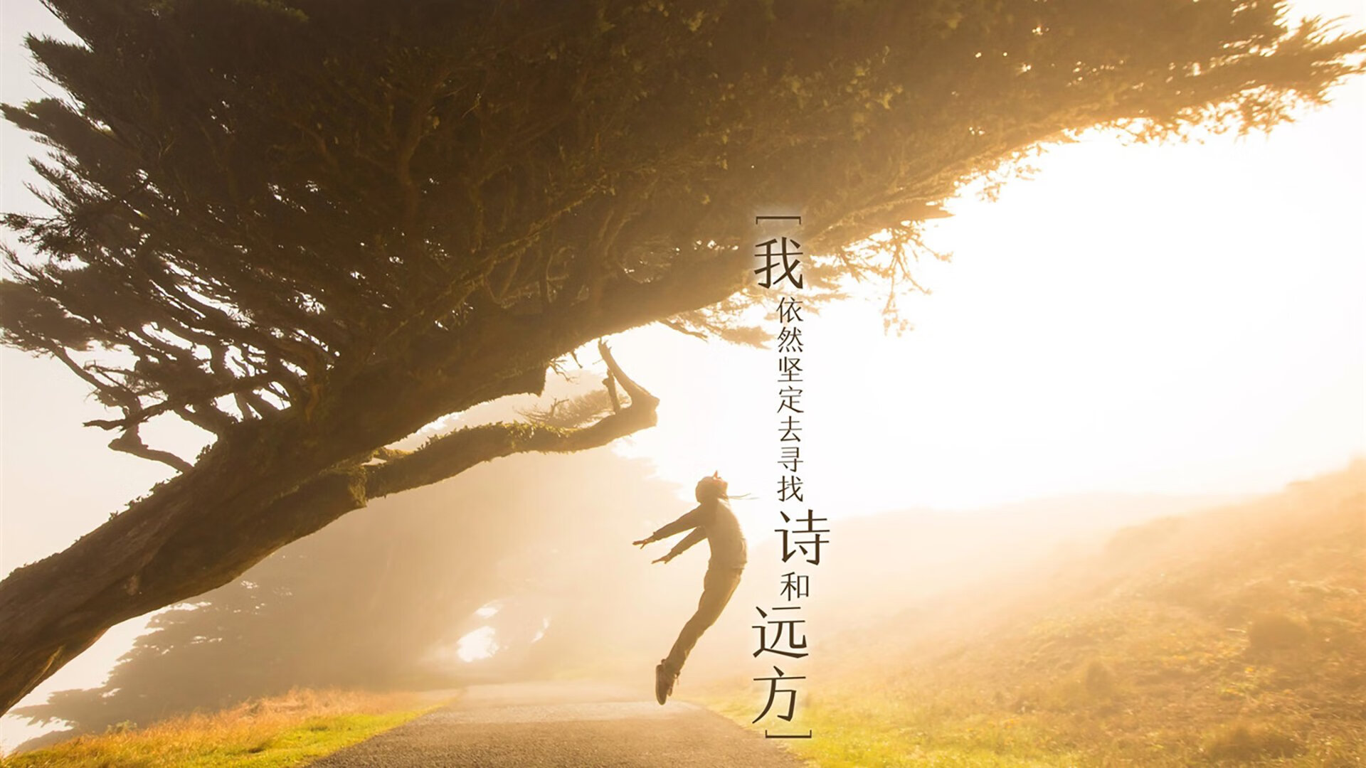 关键封盖：李磊最后一刻封阻上海队的必杀投篮！，李磊 球员