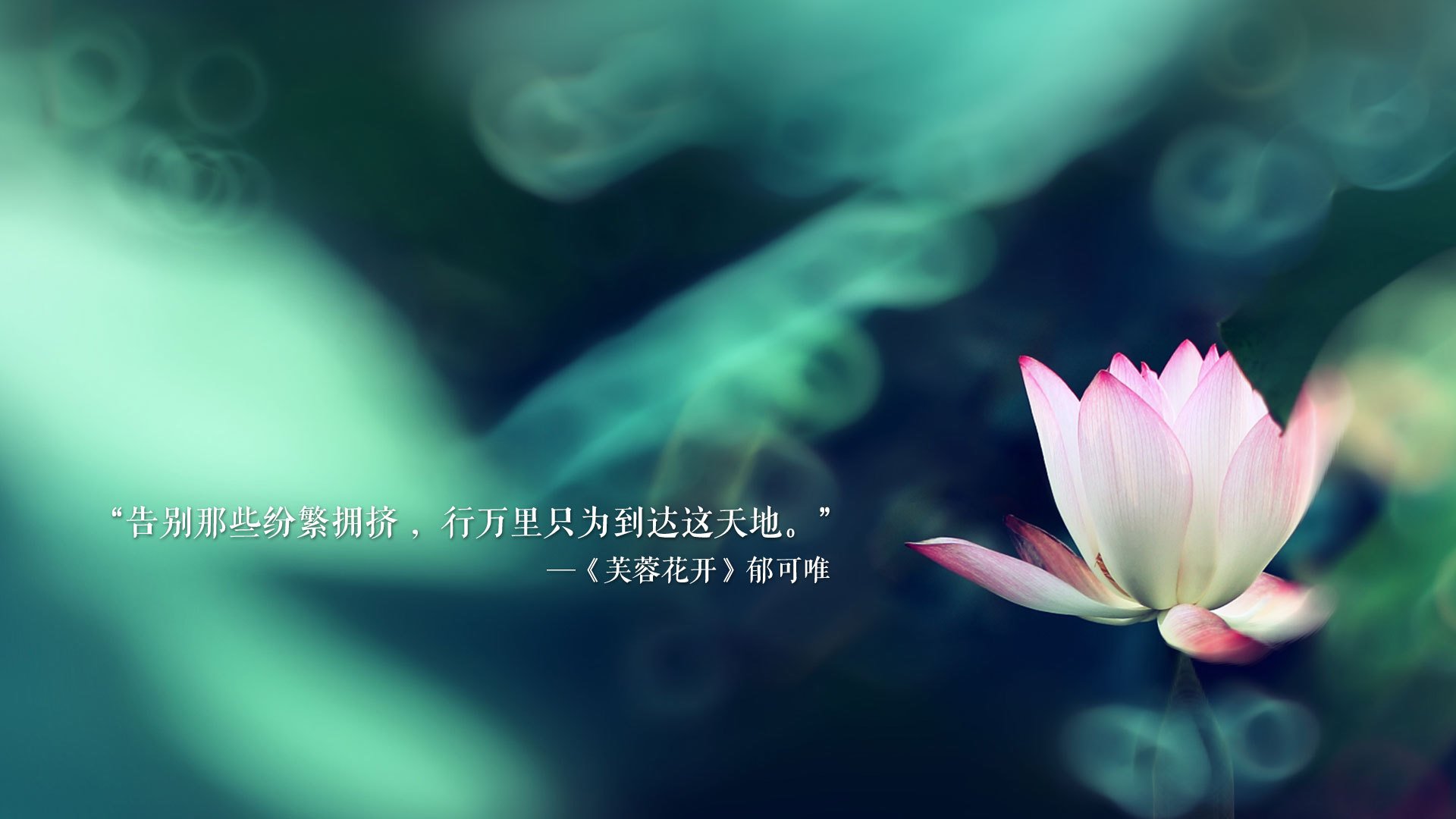 推出线上瑜伽课程，方便学员随时学习，线上瑜伽网课的优缺点