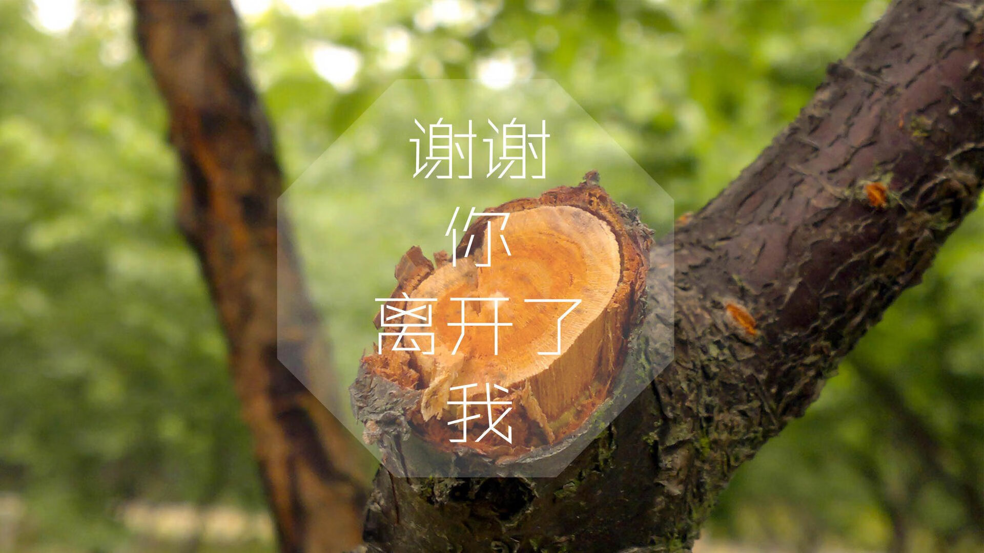 意甲联赛中一支球队遭遇主场被逆转，意甲意甲联赛