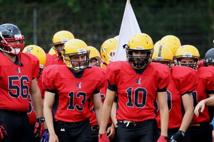 -中超球员年度射门类型结构分类，足球门将射门