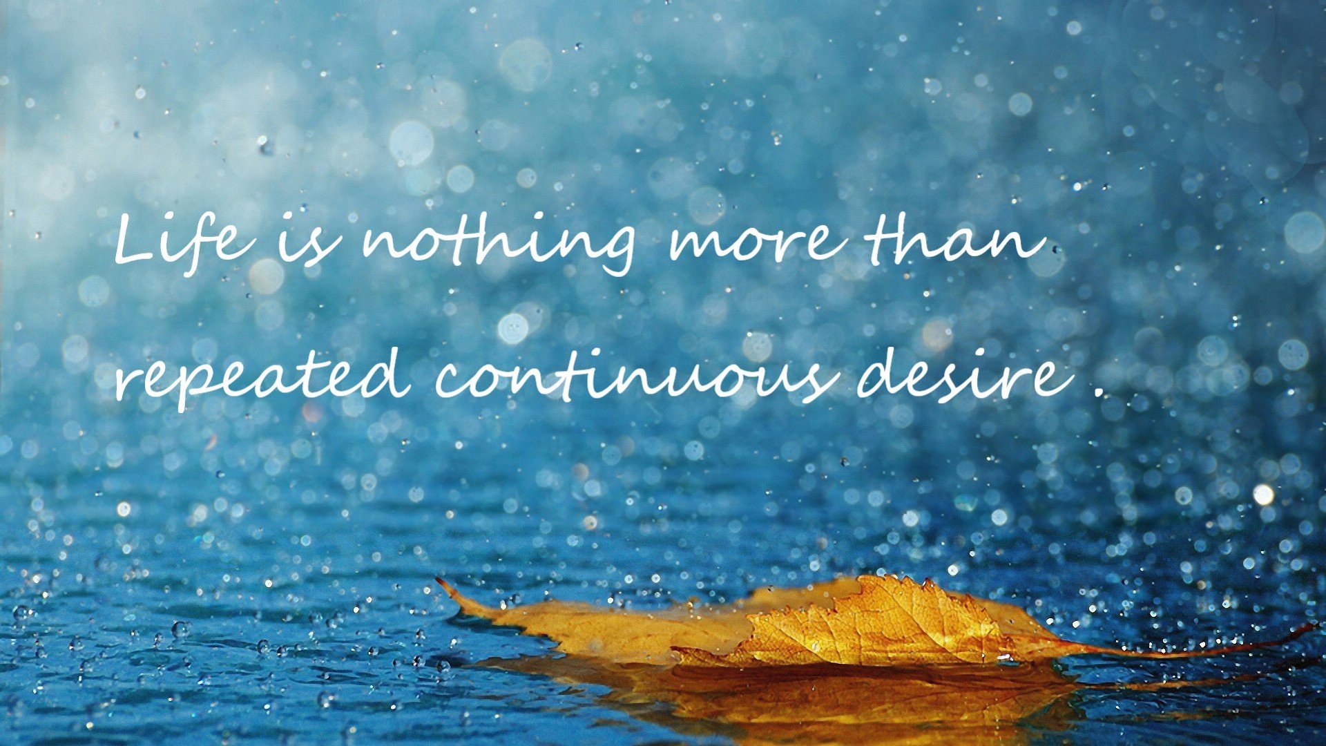 欧洲冠军：历史第一球队排行榜揭晓，欧洲冠军联赛历史冠军