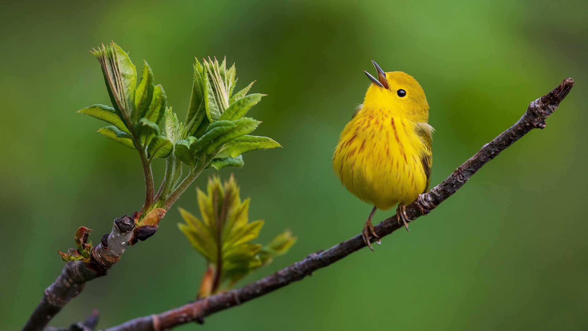 九游下载中心-奥预赛中国女足迎战 战术执行成为亮点，中国女足奥预赛出线