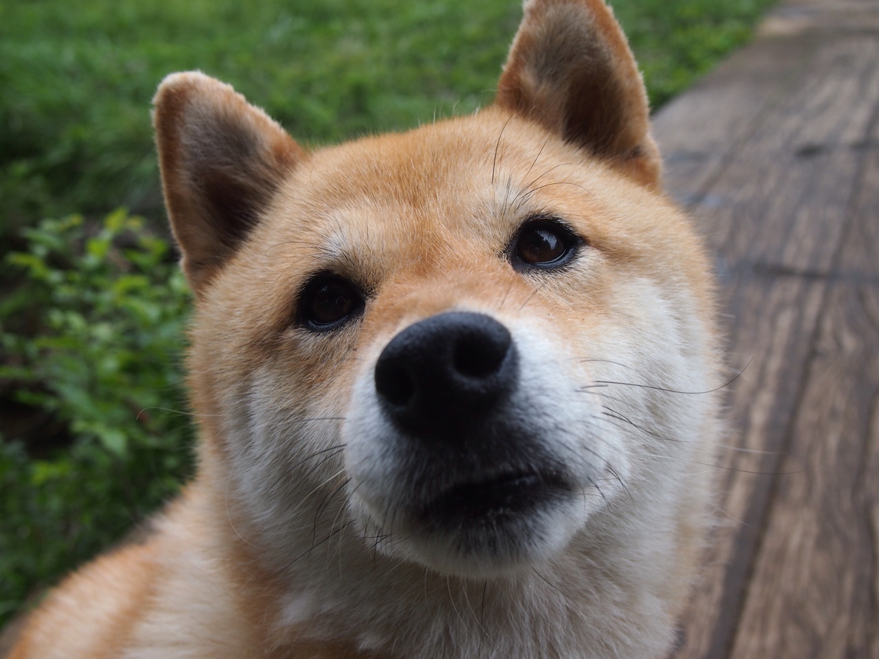 西班牙男子游泳队技术雷达图优化,西班牙游泳选手犯规