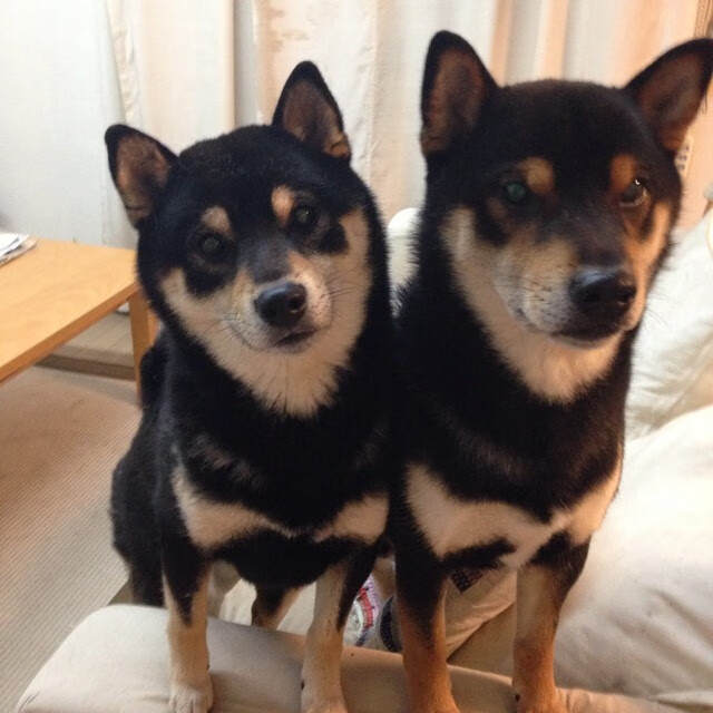 历史性胜利引发全网热议，历史性胜利引发全网热议的事件