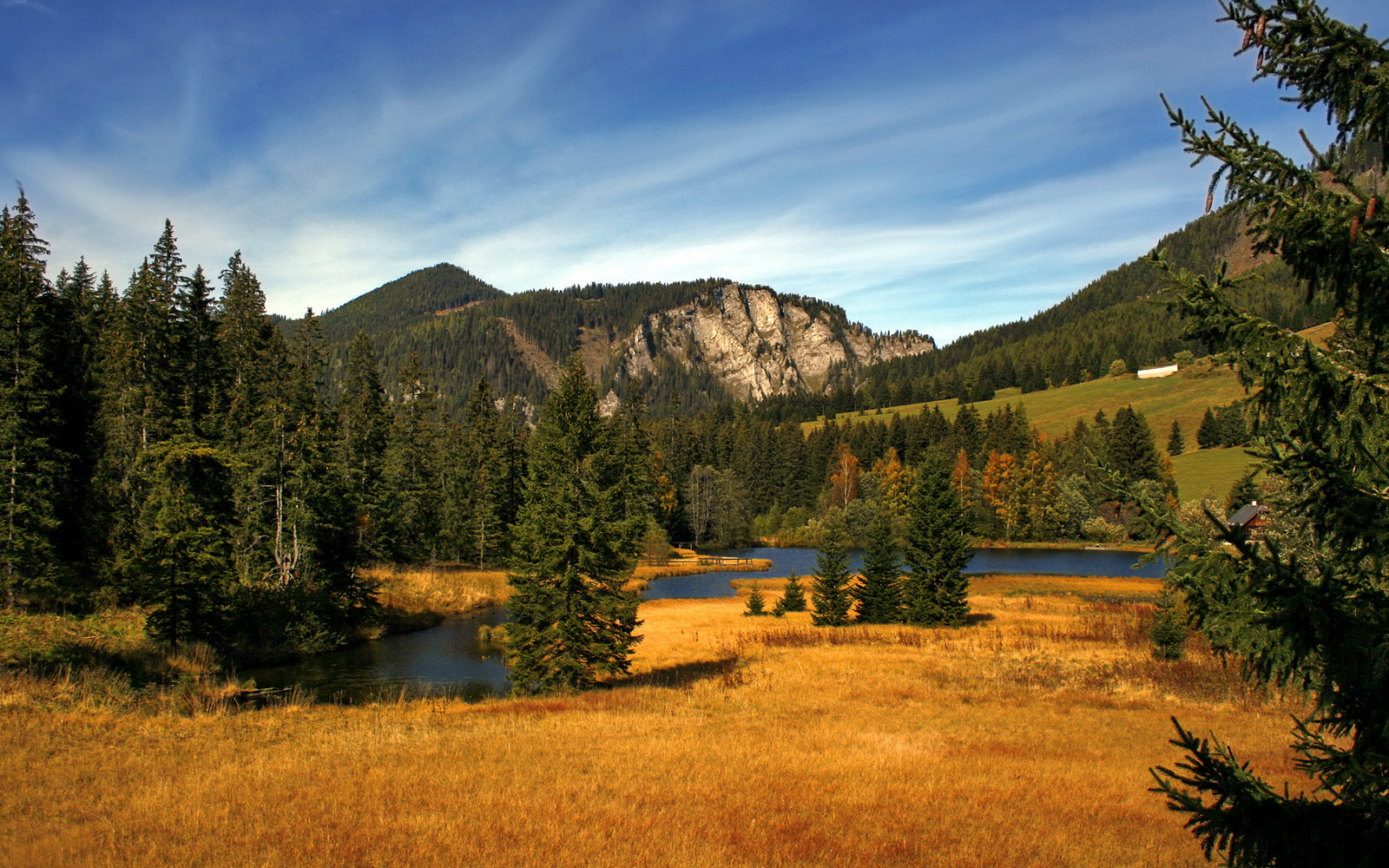 九游正版入口-女篮国家队集中训练阶段主打防守反击与外线投射结合，女篮要求