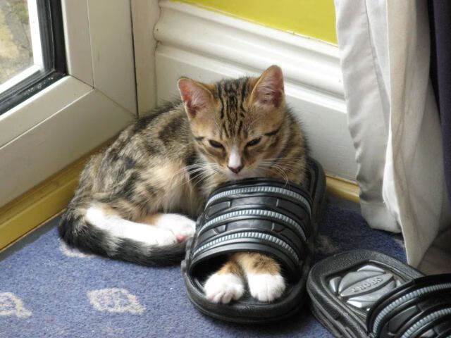 欧洲杯高潮不断：变阵、突破、奇迹！，欧洲杯太精彩了