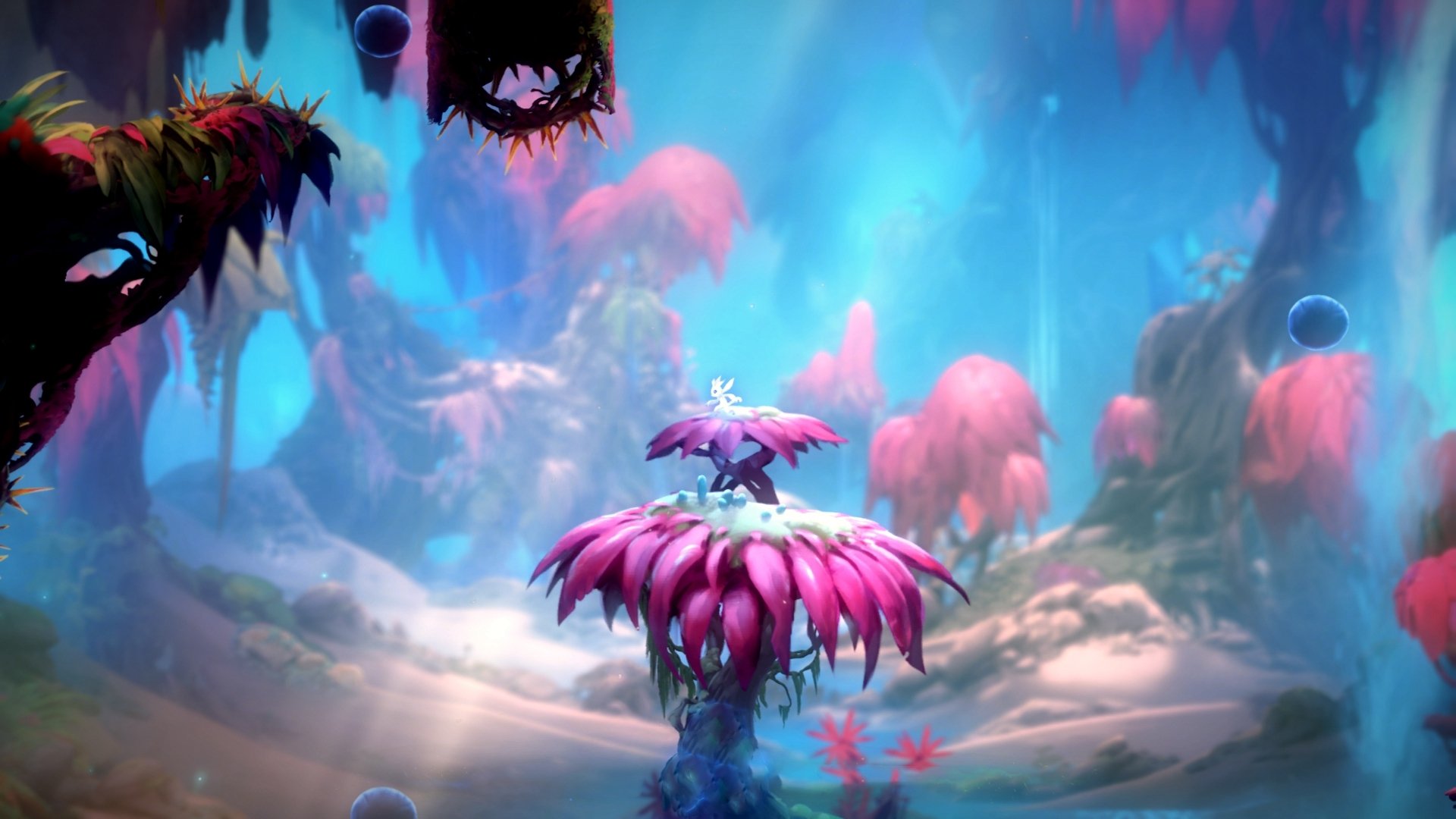 滑雪运动装备检测标准逐步完善，滑雪装备示意图