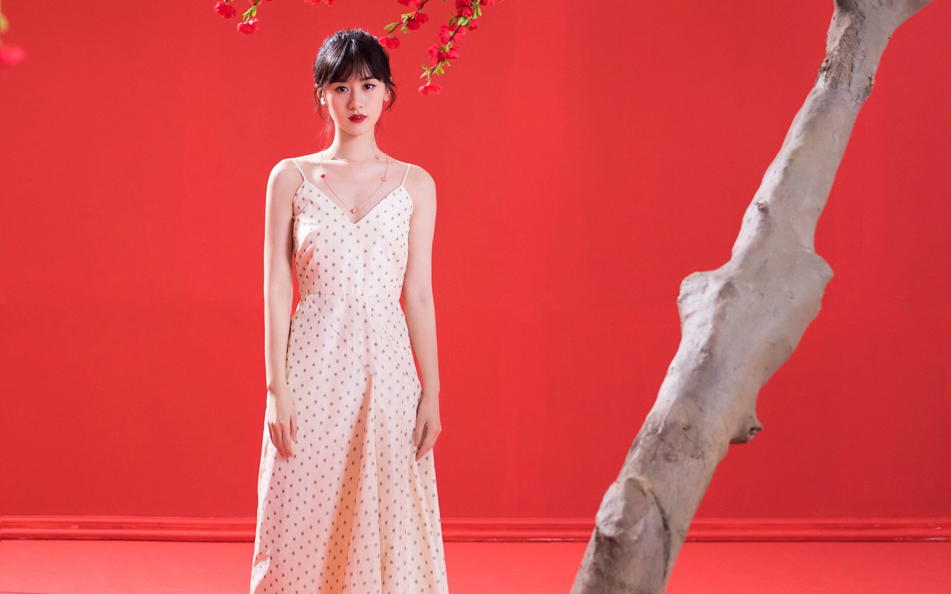 澳大利亚青训计划促进橄榄球未来大飞跃,澳大利亚英式橄榄球联赛